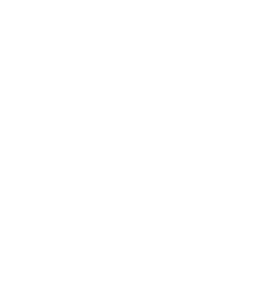 June Fest Celarevo Logo